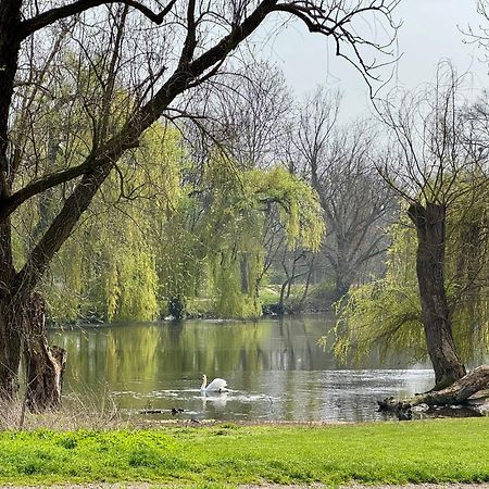 Strasbourg, Appartement Cosy Au Bord De L Eau Zewnętrze zdjęcie