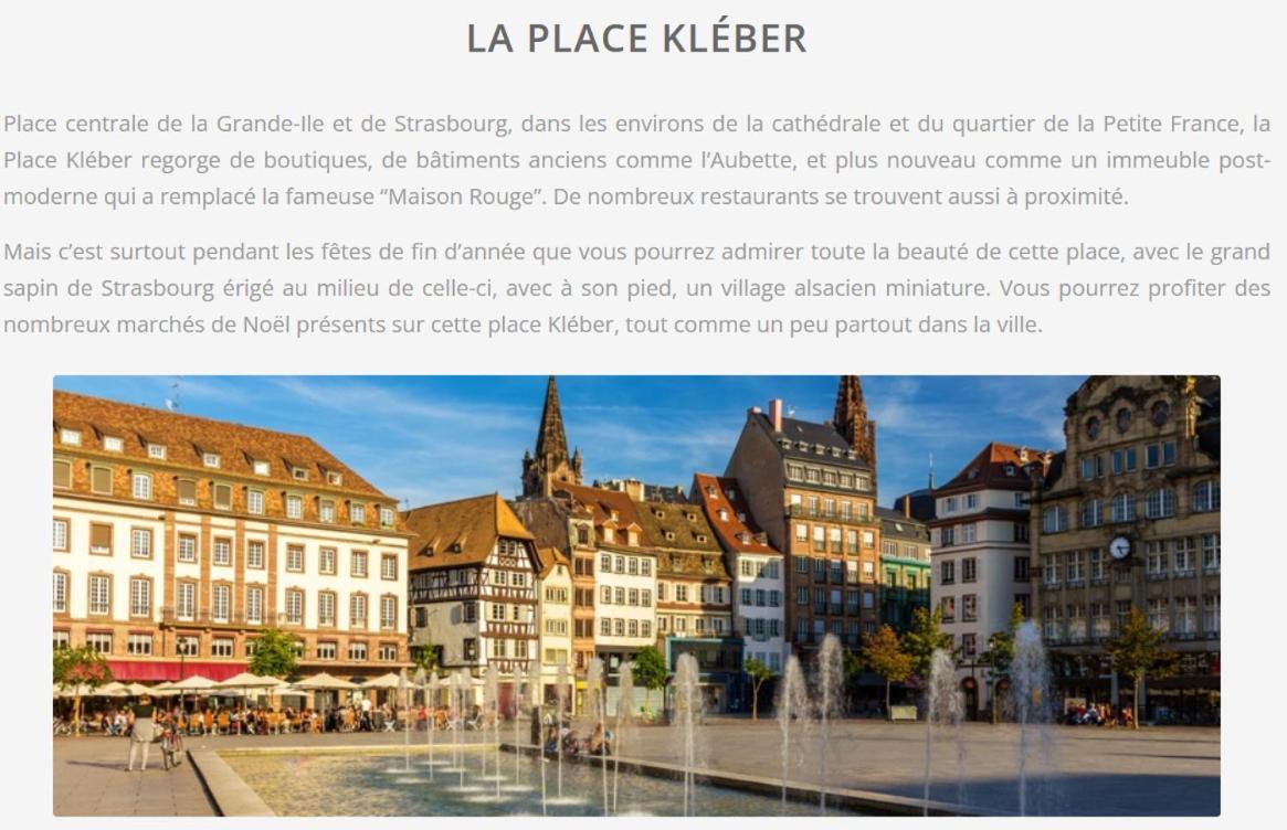 Strasbourg, Appartement Cosy Au Bord De L Eau Zewnętrze zdjęcie