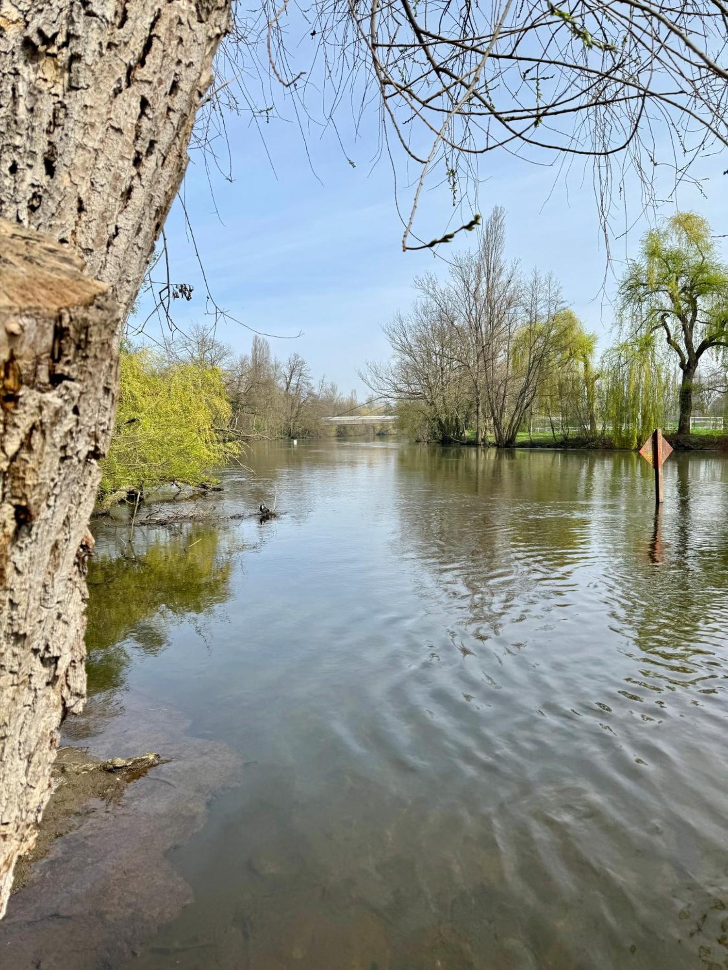 Strasbourg, Appartement Cosy Au Bord De L Eau Zewnętrze zdjęcie